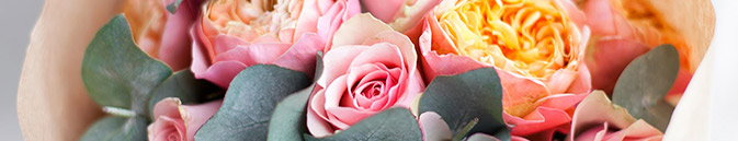 купить цветы Франция от Grand-flora